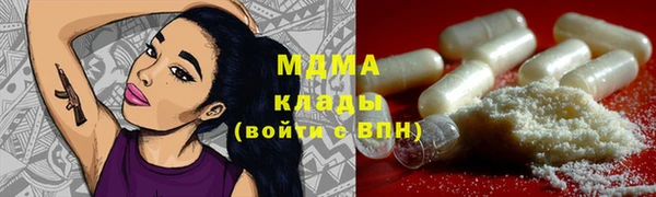 прущие грибы Абаза