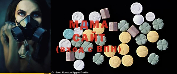 прущие грибы Абаза