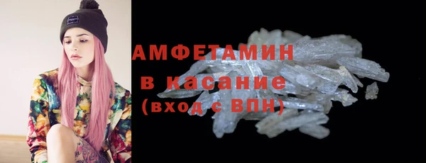 прущие грибы Абаза
