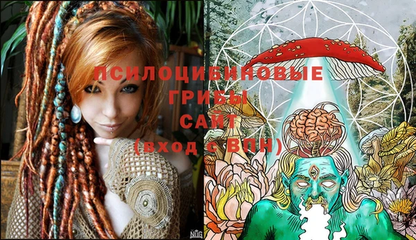 МДПВ Абинск