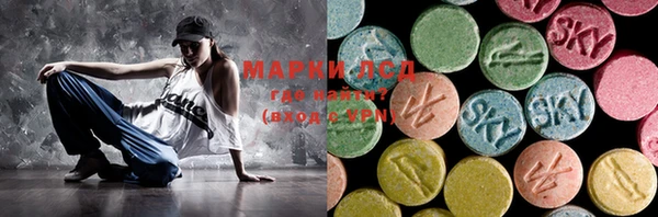 индика Алексин