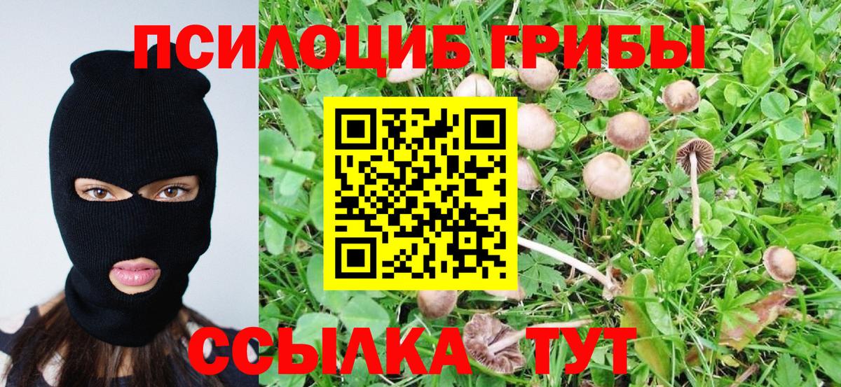 Галлюциногенные грибы прущие грибы Узловая