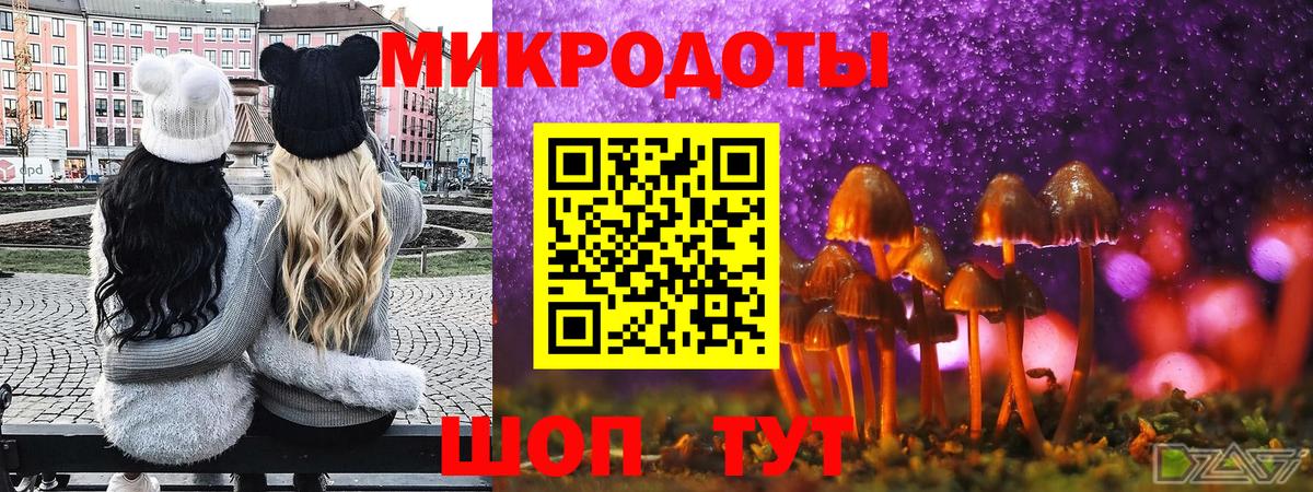 Псилоцибиновые грибы Psilocybe  магазин  наркотиков  Узловая  Вход с VPN 
